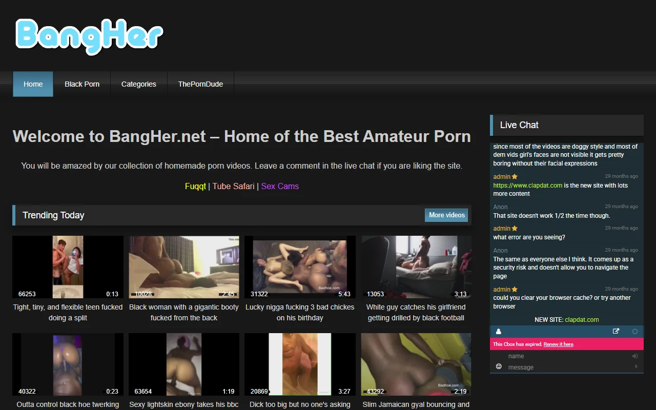 Screenshot: Bangher Screenshot of Bangher